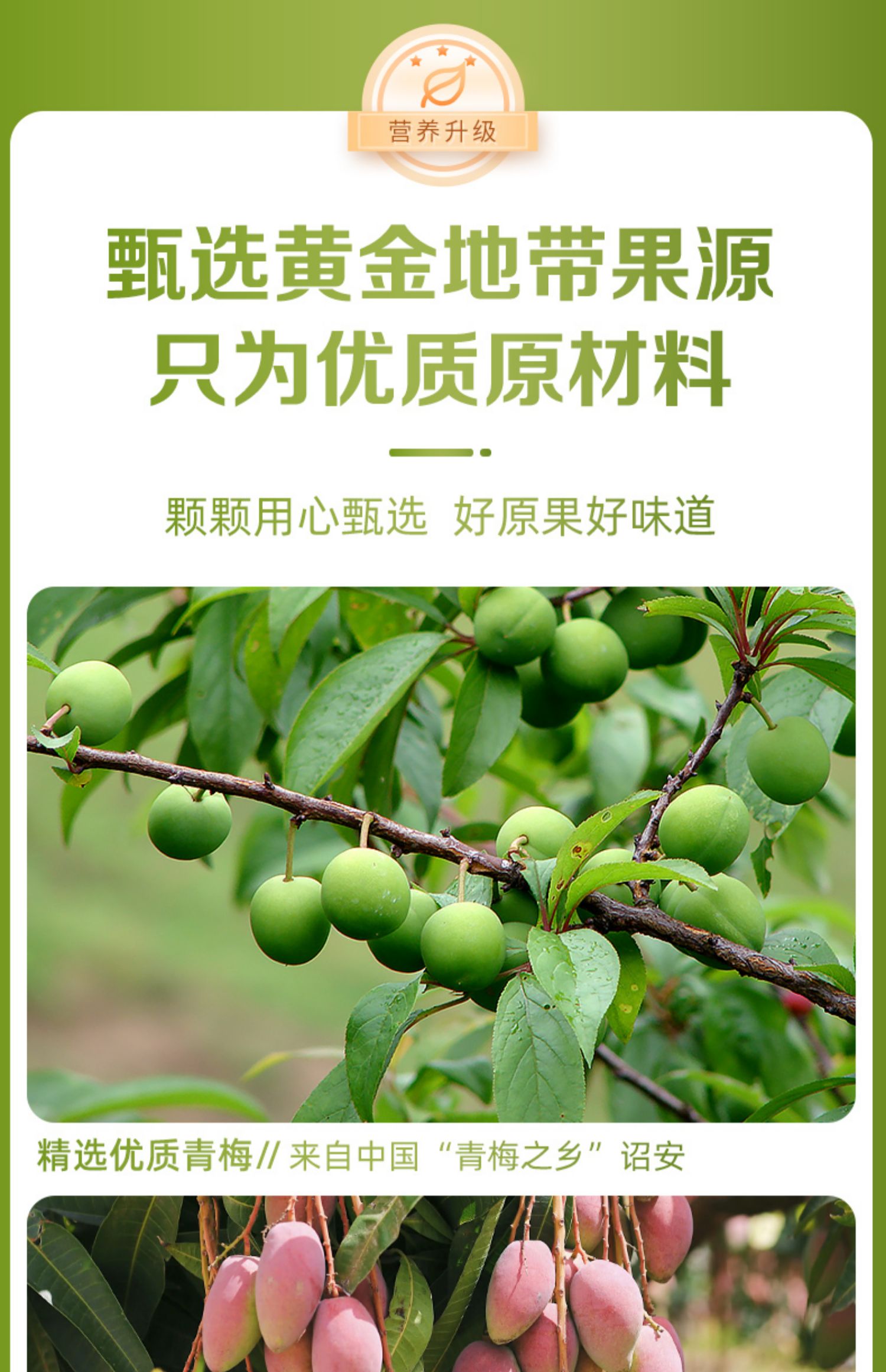 蘑菇風暴 梅有芒果 120克 