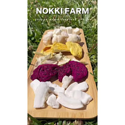 NOKKI FARM Freeze-dried Mangosteen 50 g