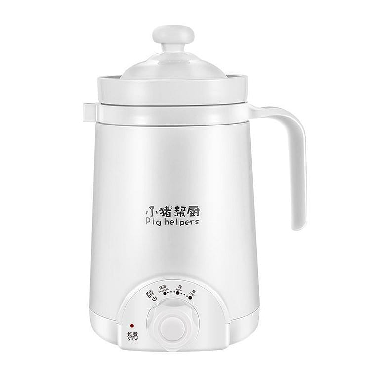 Electric Health Tea Pot Bottle 110V 1 개