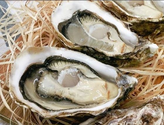 生牡蠣 72A29FFC194C6F34.jpg