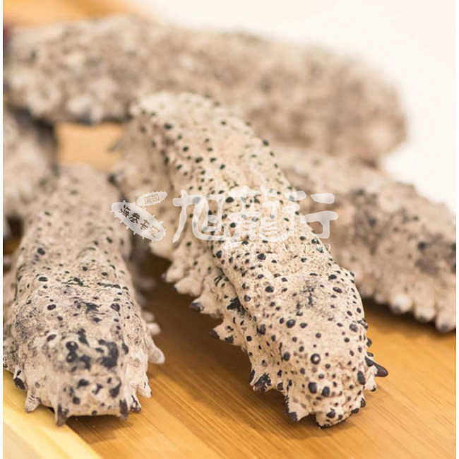XLSEAFOOD Wild caught Mexico Sea cucumber(M)0.5 lb 8 온스