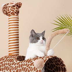 zeze三同长颈鹿猫爬架多功能小户型专用猫窝一体不占地猫爬架子 1 份