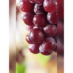 Konjac Jelly Red Grape Flavor 240 g