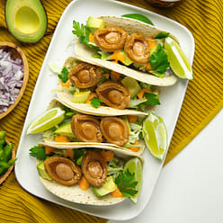 Lee Kum Kee Abalone in Premium Oyster Sauce Net Weight 220g 7.8oz 1 each