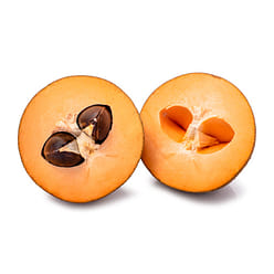 Mamey Sapote 1 count