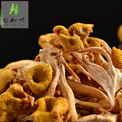 [Delicacy from Changbai mountain]Northeast elm yellow mushroom 250 g