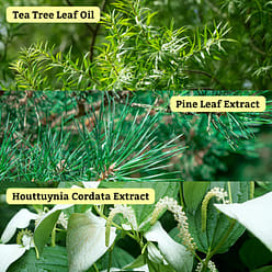 Leaders Insolution Tea Tree Relaxing Skin Renewal Mask Rx (10 Sheets) 10 box