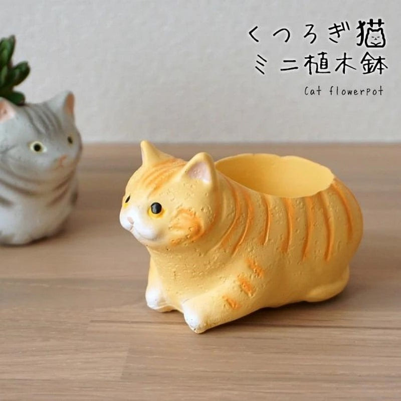 Manchikan Cat Succulent Flower Pot 1 each