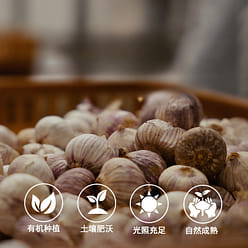 Machine black garlic 250g*1 box 250 g