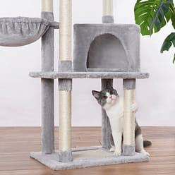 47'' 多层猫树和猫窝 1 份