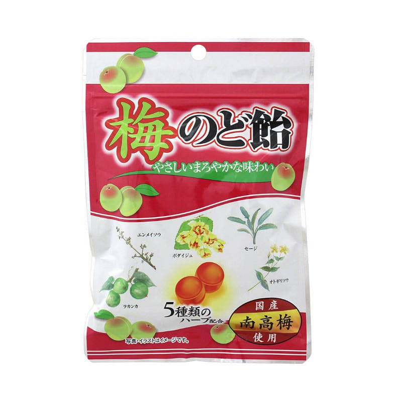 Ohkura Seika Plum Lozenges 100 g 1 개