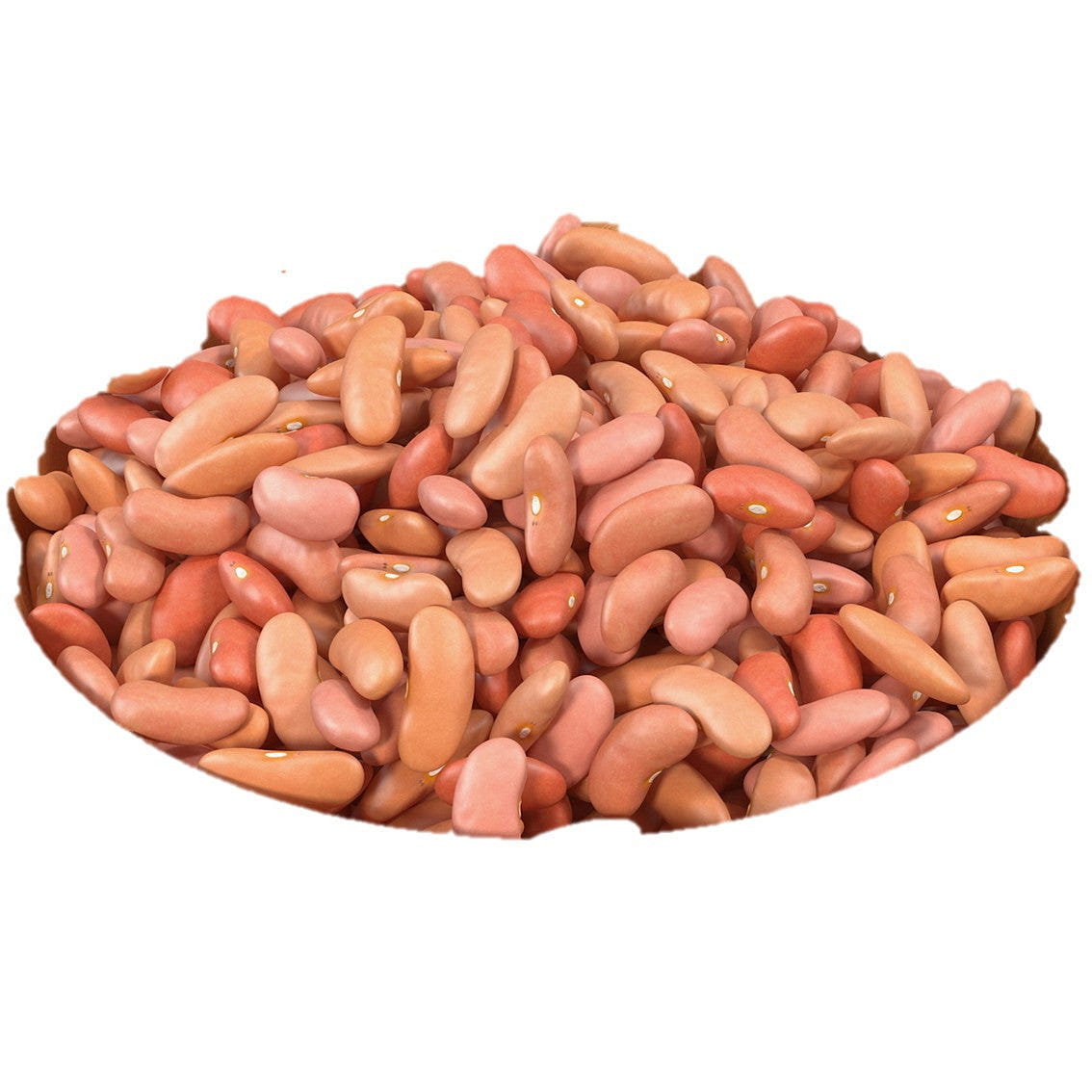 Aiva Light Kidney Beans 40 lb Bulk / 640 oz