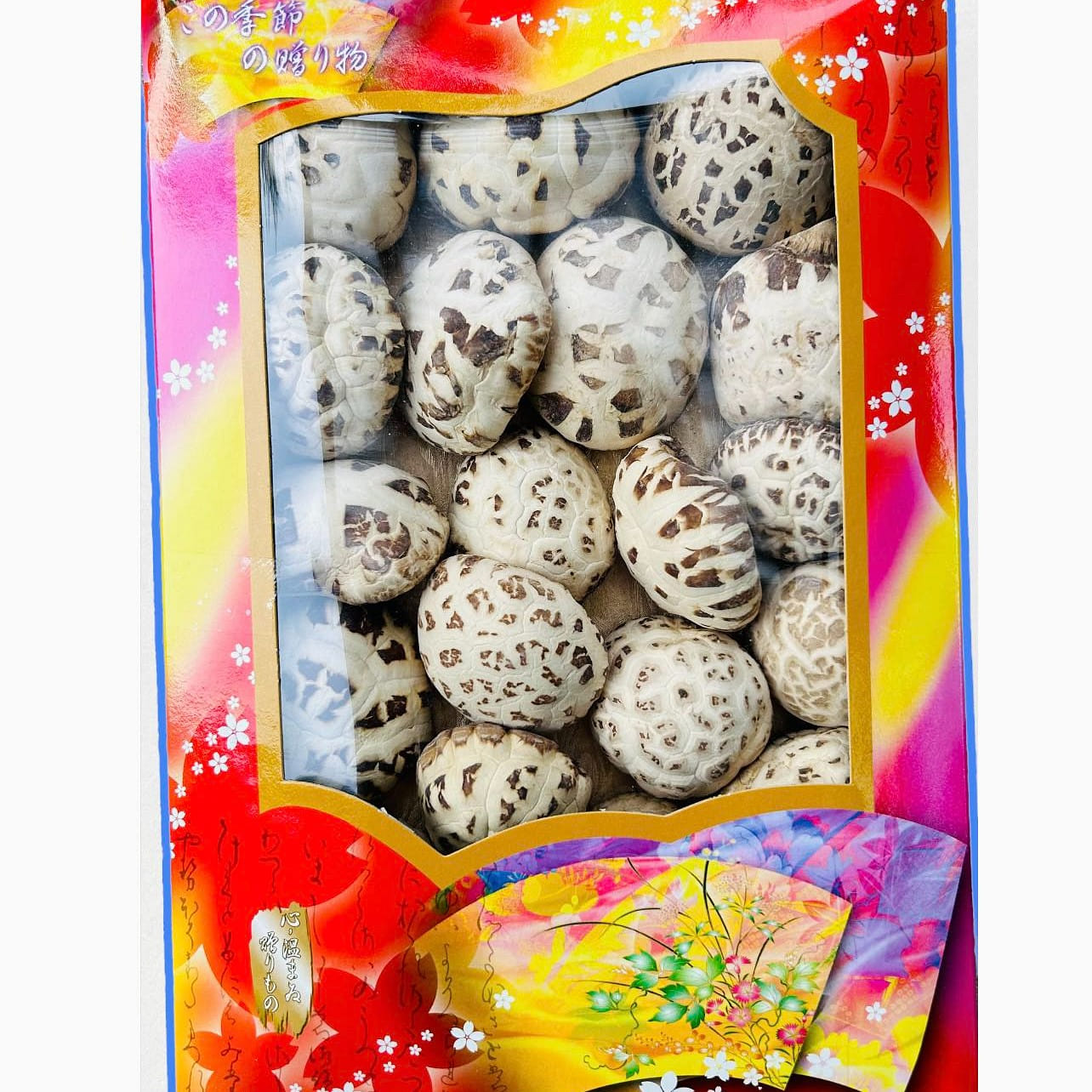 Yulin Special Grade Large White Mushroom  Gift Box 1 lb