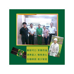 Aki Hinok Organic Plum Perilla Bancha Tea 15bags 15 