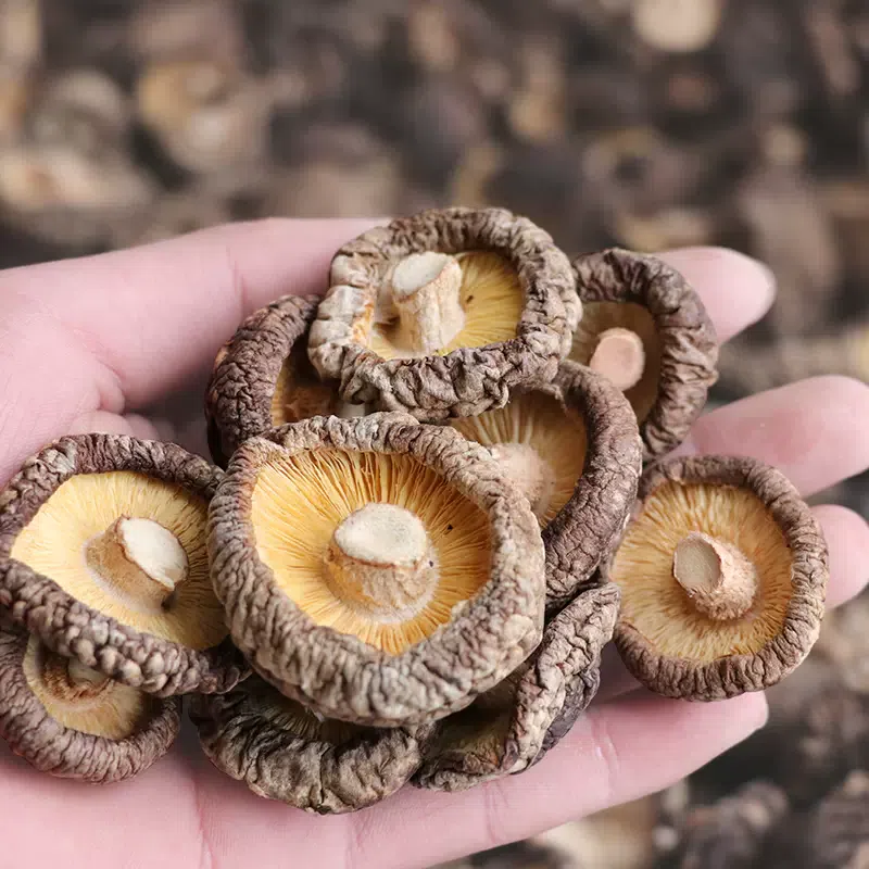 Dried mushrooms, dried mushrooms, wholesale small shiitake mushrooms, mushrooms, mushrooms, mushrooms, soup 3-5cm, 50g*1 bag 50 그램