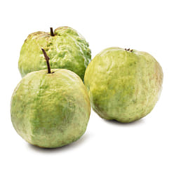 플로리다 구아바 2.8-3.2 파운드