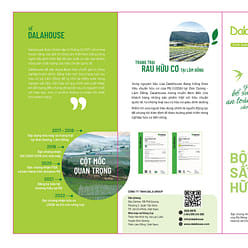 DALA HOUSE PENNYWORT-GREENBEAN COCONUT MILK POWDER 7.5 oz