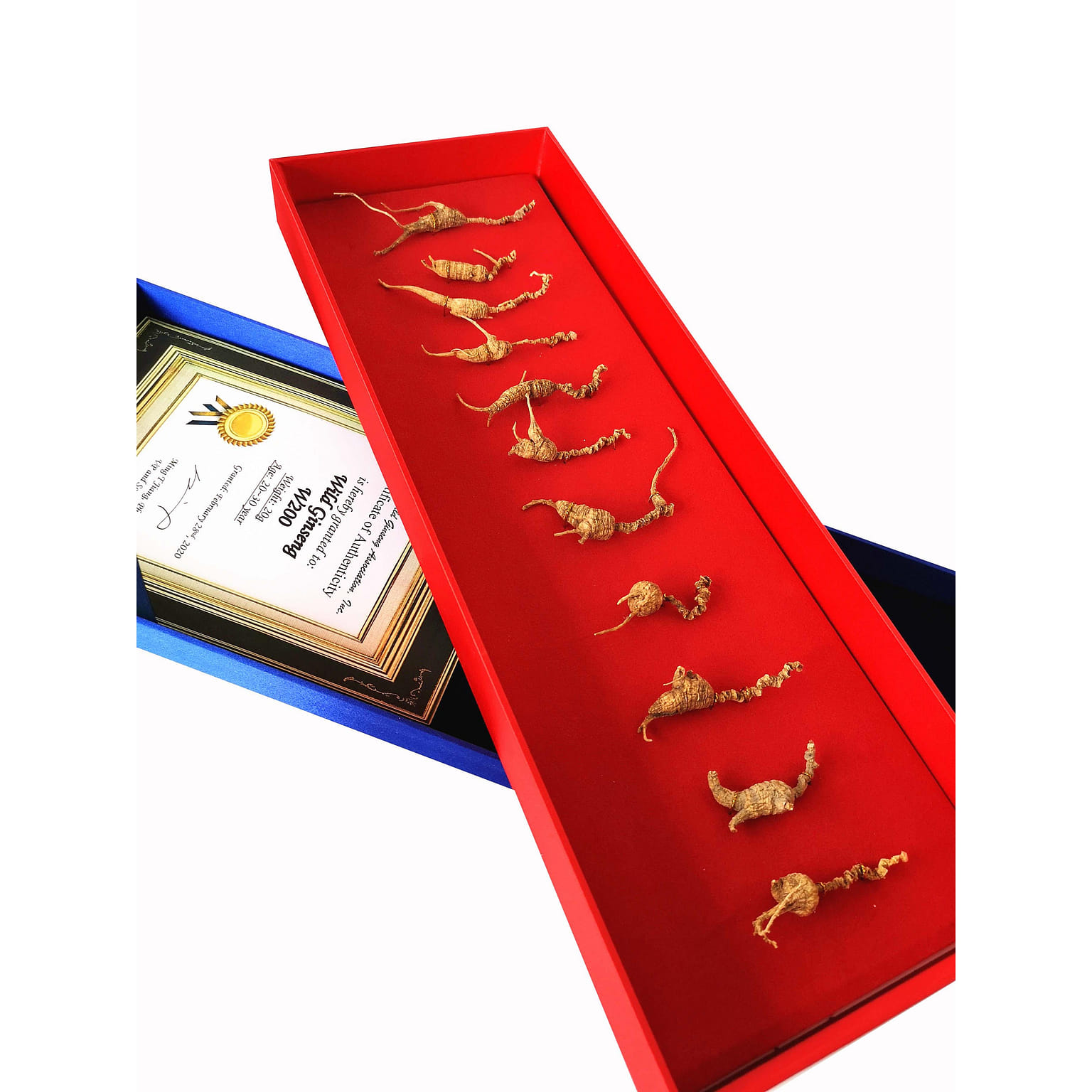 Wisconsin Wild Ginseng - 200 Years of Wild Growth 20 กรัม