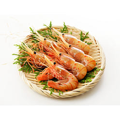 Frozen Botan Ebi (Spot Prawn) XL 21-24 PC 2.2 lb