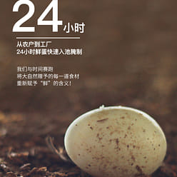 Roasted sea duck eggs salty 420g*1 box 420 g