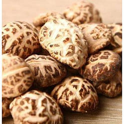 XLSEAFOOD Premium A+  Mushroom China Shiitake 454g 16oz 16 oz