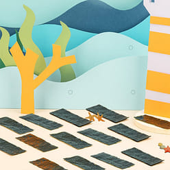 Boryee seaweed 9g 9 g