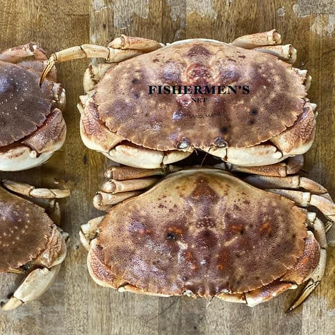 Live Fresh Maine Jonah Crabs 1 케이스