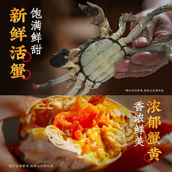 [Yile Noodle Shop] Crab roe mixed noodles 145 g