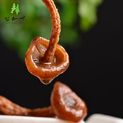 Chuashuling organic hazelnut mushroom northeast wild hazelnut mushroom 250 g