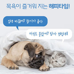 宠物香波 狗用婴儿香粉味 500ml，1个 500 毫升