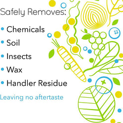 Rain Organic fruit and vegetable wash (concentrate) 19.6 fl.oz 19.6 fl.oz