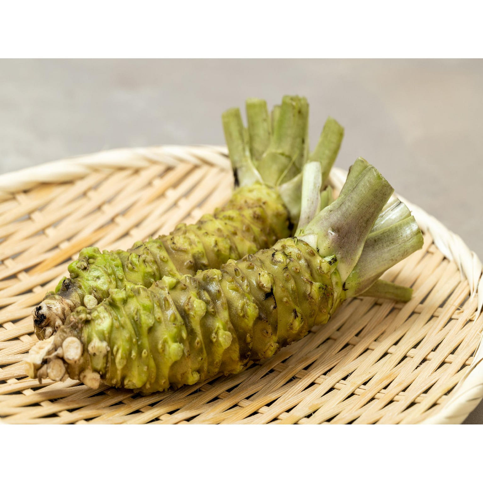 Fresh Japanese Wasabi Roots (Hon Wasabi) 90 그램