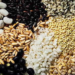 제주상회 혼합17곡 4 파운드