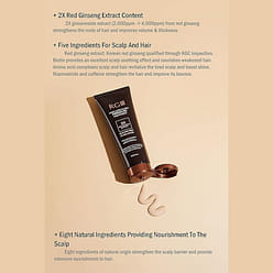 RGIII PREMIUM Hair Care Set (Shampoo & Treatment) 1 each