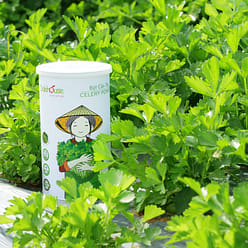 DALA HOUSE CELERY POWDER MIX 2.11 oz