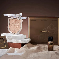 Car fragrance gift box 1 each