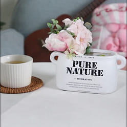 dried plum citrus Tangerine Plum Cake individual 58 g