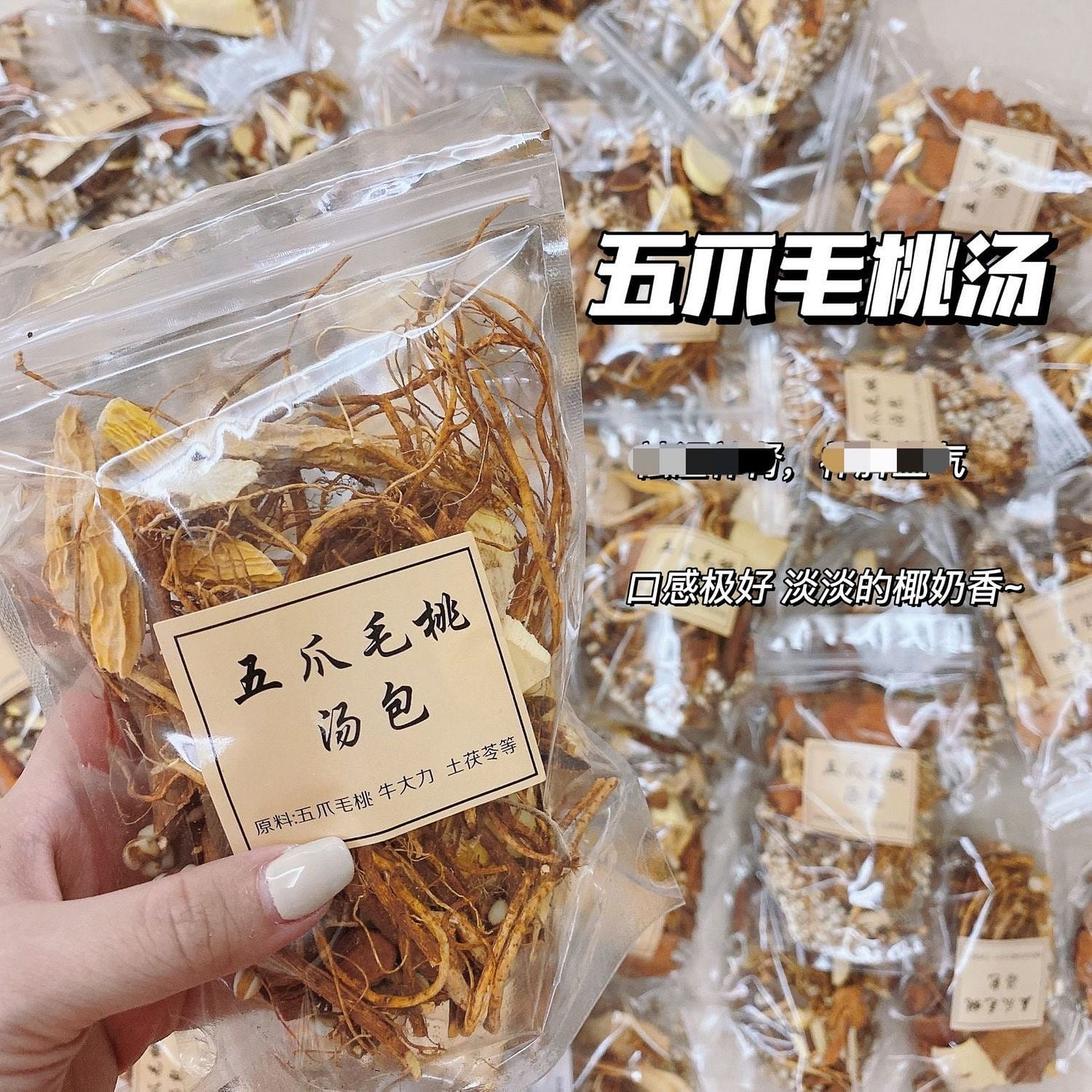 五指毛桃汤牛大力 薏米 土茯苓 五指毛桃汤料1袋 1 份