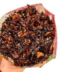 Yunnan mountain mushrooms 250 g