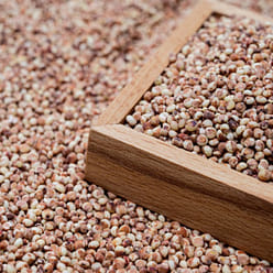 제주상회 찰수수 4 파운드