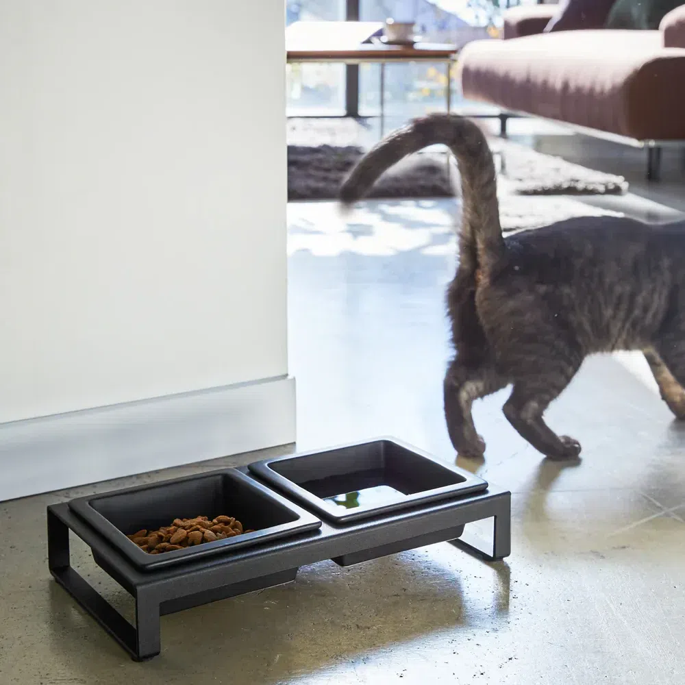 Pet Food Bowl Short / Black 1 each