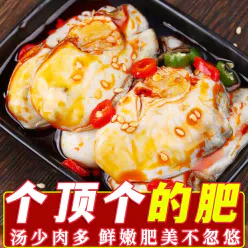 100g*1 can of canned garlic oysters 100 g