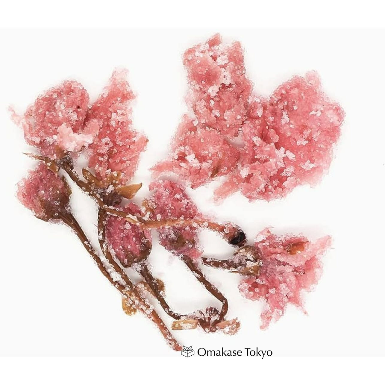 Salt Pickled Sakura Cherry Blossoms 60g 60 그램