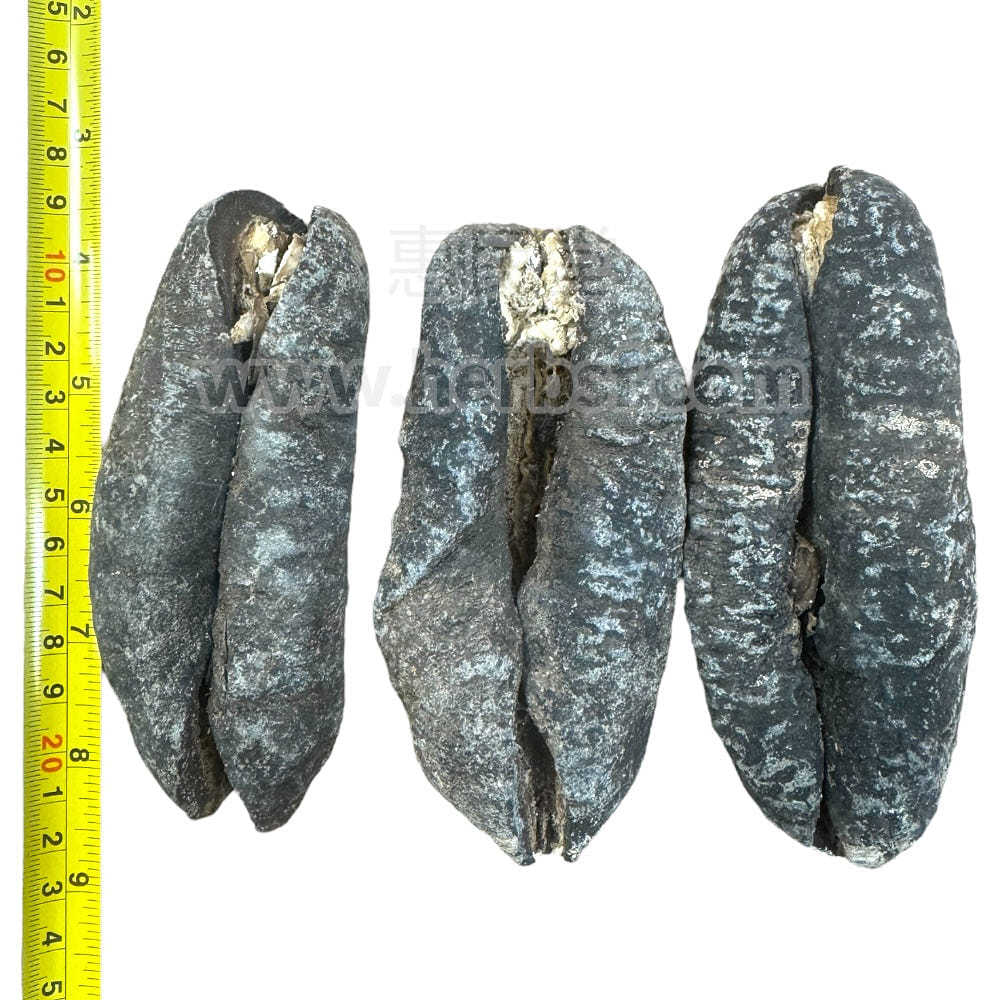 HMT Australian Sea Cucumbers Dried 400g Zhu Po Shen 3-4 Pcs 1 ส่วน