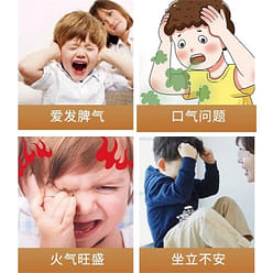 Cordyceps Clear Heart Soup 10 Pack Cordyceps Snow Pear Seabed Coconut Maitake Y 1 box