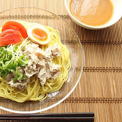 NAKAGAWA SlightlySpicy Sesame Sauce DippingNoodle 1 each