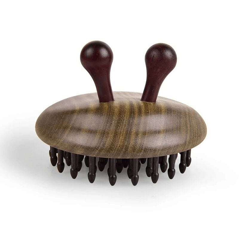 Tanmujiang Snail (Special Ring) Hair Brush/Massage 1 count