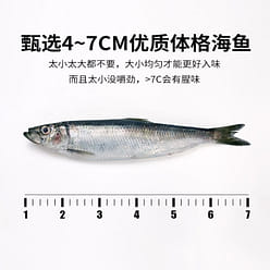 Jinzai Deep Sea Fish Dried Snack 12g Sichuan Flavor 1 each