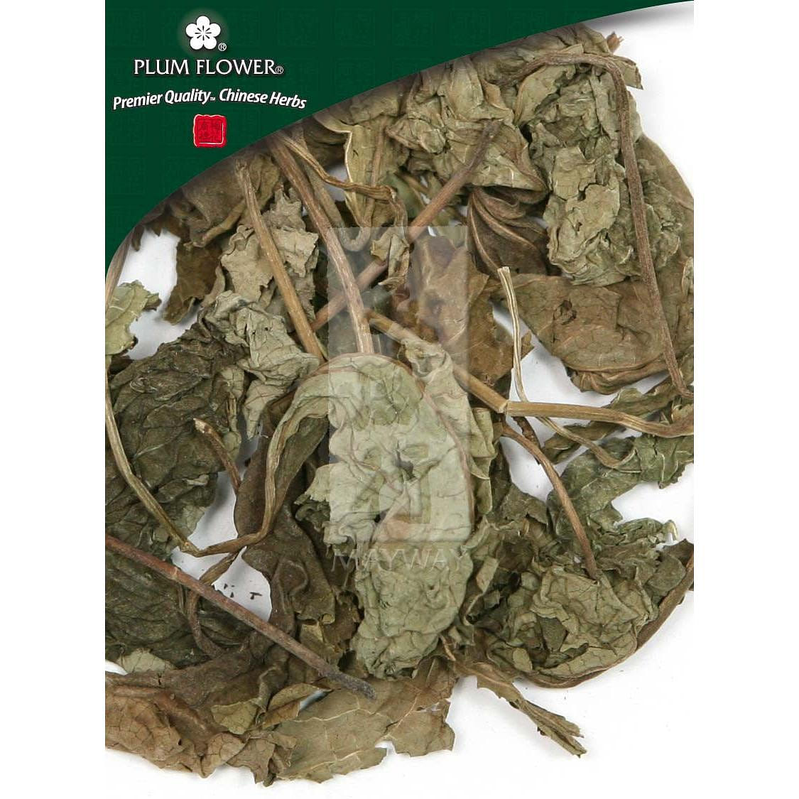 Chou Wu Tong, unsulfured Clerodendrum trichotomum herb 1 ส่วน
