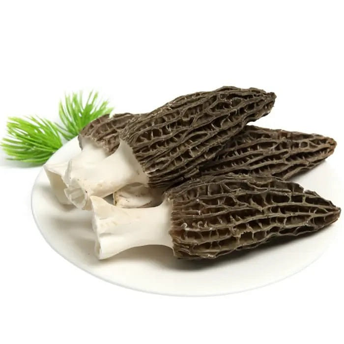 Dried Morel Mushrooms 2oz Morchella, Premuim Grade 2 온스